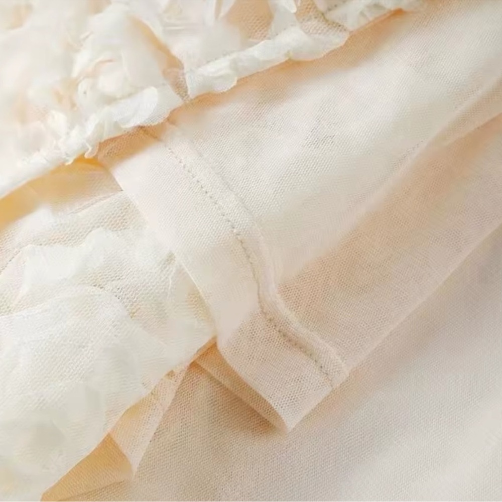 NEW💫 CASA B| “ Dreaming in Rose” 3D Floral Appliqué Ivory Plunge Neck Gown - Picture 5 of 7